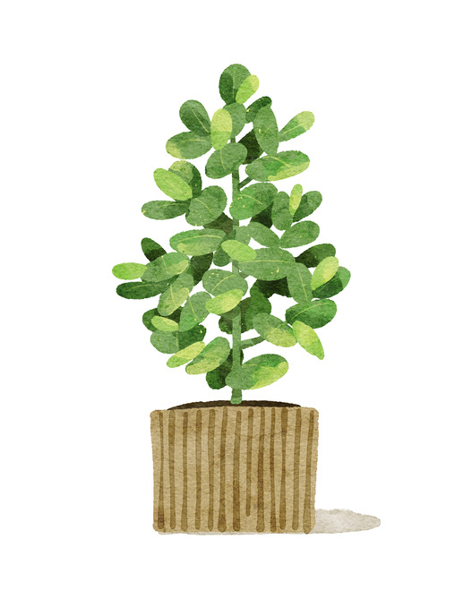 부식 지원 사례