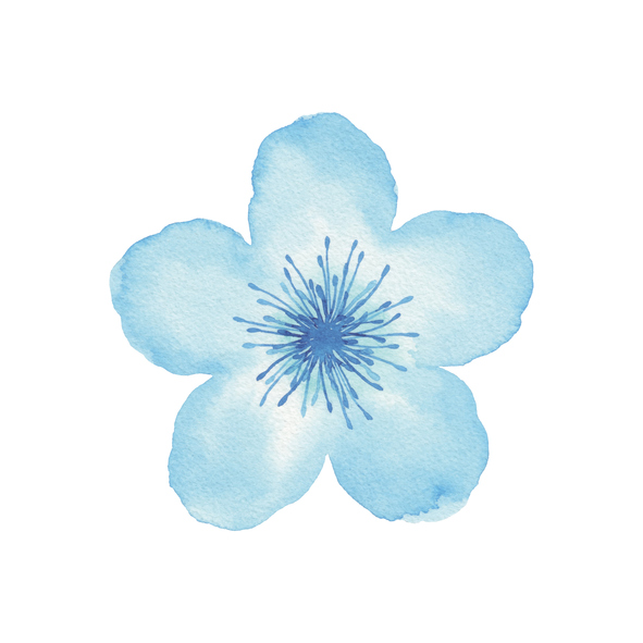 부식 지원 사례