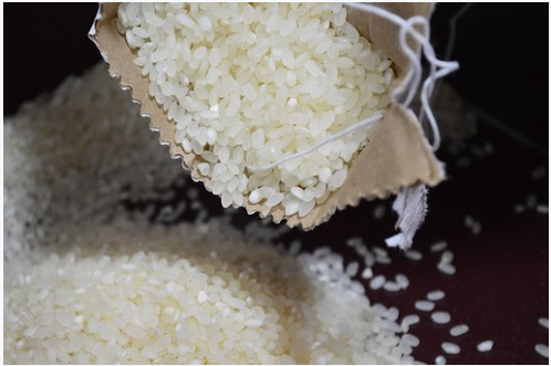 2019년 7월 부식지원 현황