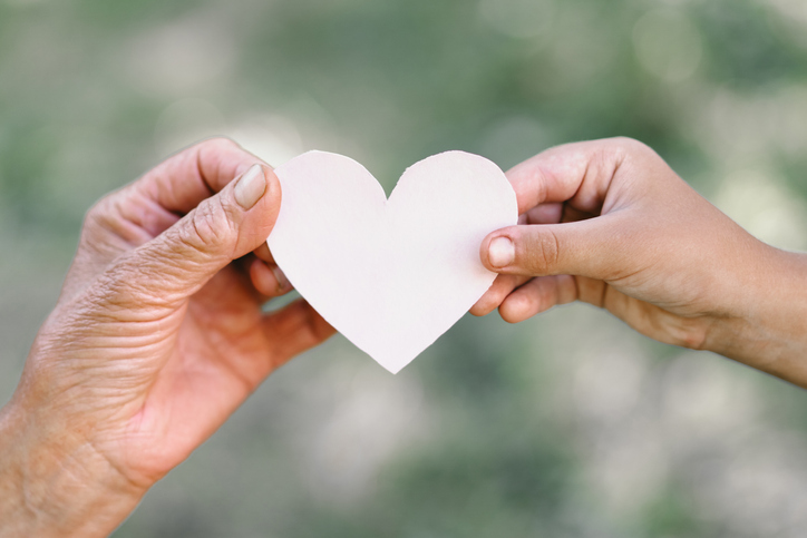 2022년 11월 생계/위기가정 지원 현황